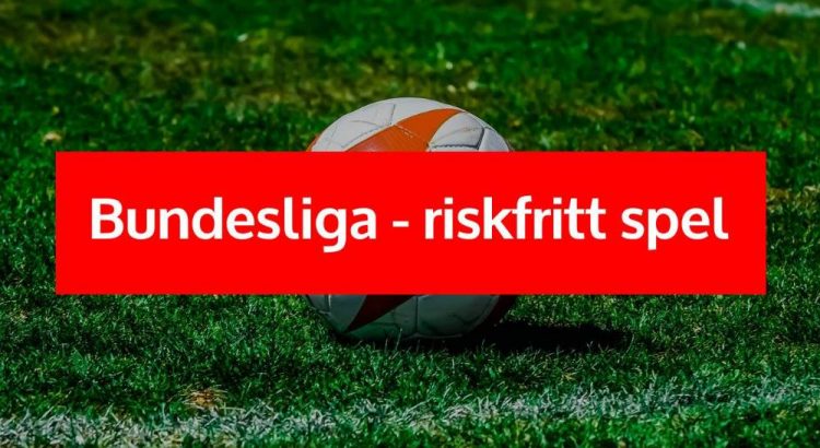 Fotboll Bundesliga omgång 26